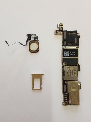 Scheda madre 6 apple - madre, 12.4.6